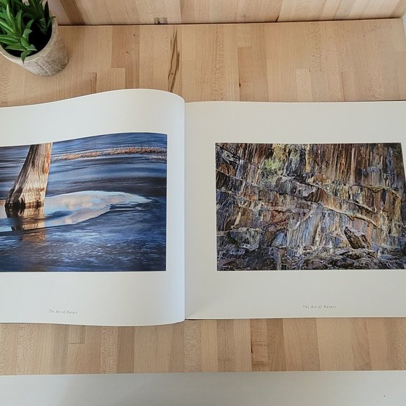 The Art of Nature Reflections on the Grand Design. Time Heinemann & Tim … - Picture 6 of 7